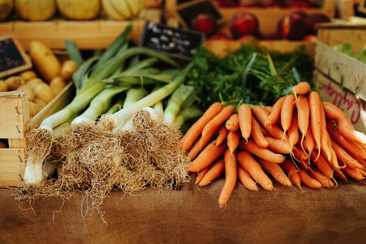 Freshly lifted carrots and greens